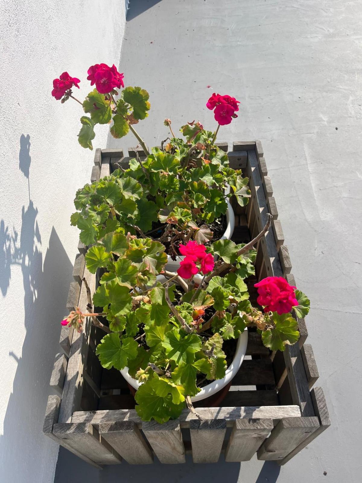 Monteverde Double Terrace Penthouse Rome Bagian luar foto